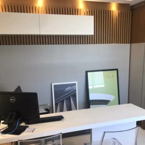 Cirurgia Geral - Videolaparoscopia  Cirurgia Bariátrica